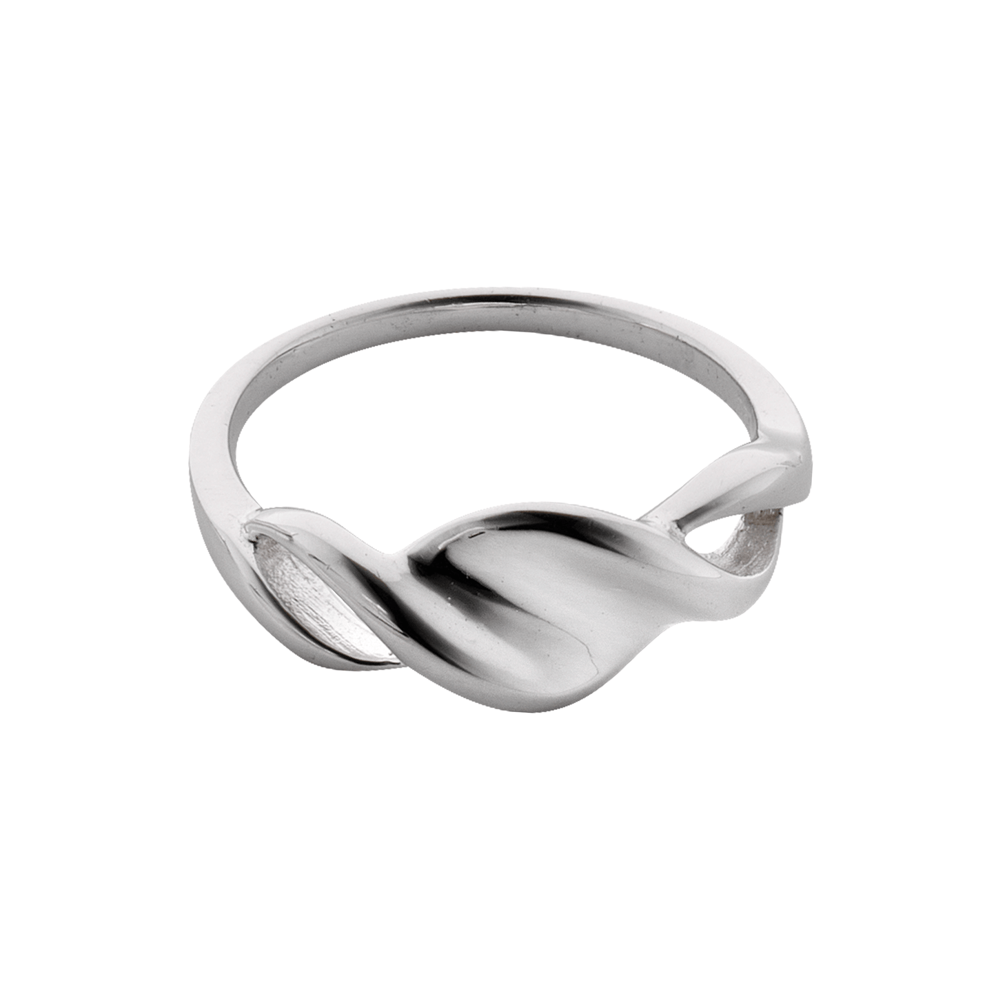 Silverring Tvistad