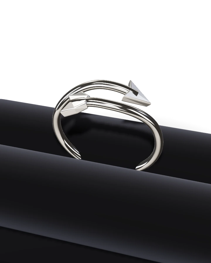Silverring Pil