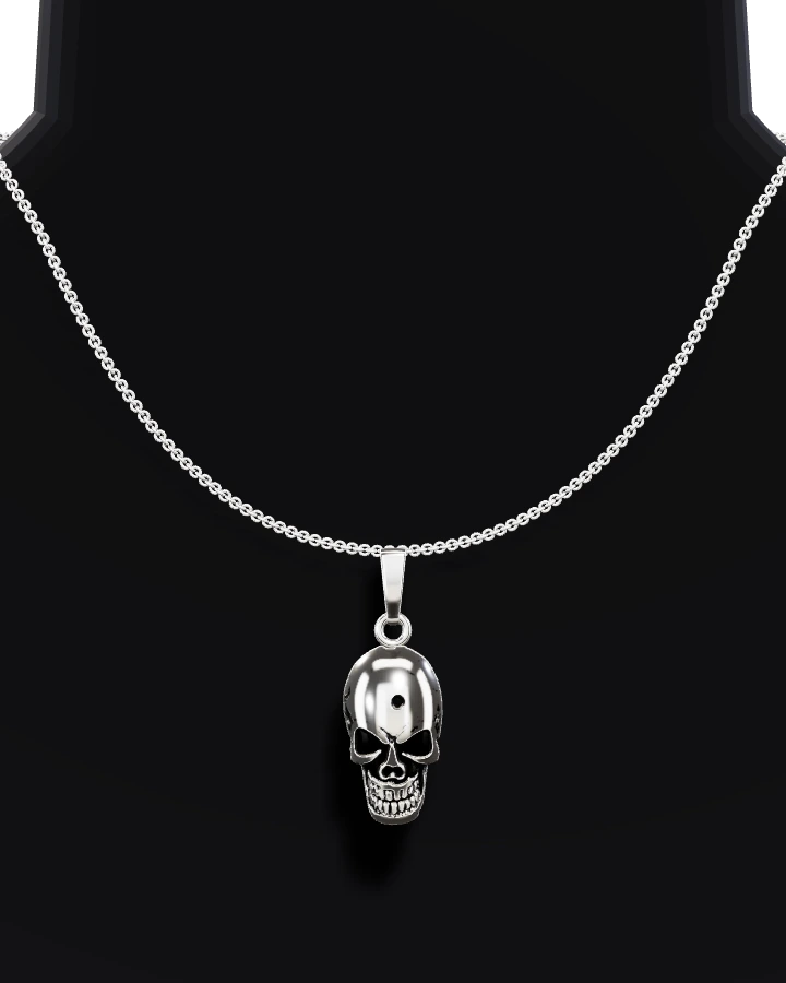 Silverhalsband Dödskalle