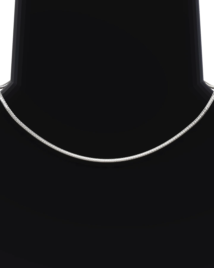 Silverhalsband Omega
